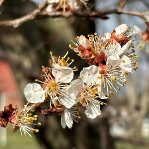 Meet your Posher, Therese